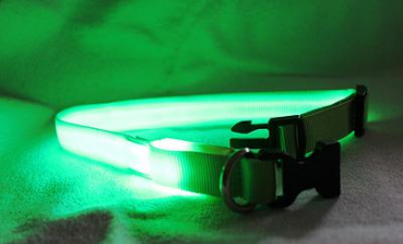 LED Halsband Gr. L, in 3 verschiedenen Farben
