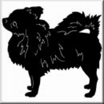 Aufkleber Chihuahua 1 - gespiegelt - 20cm