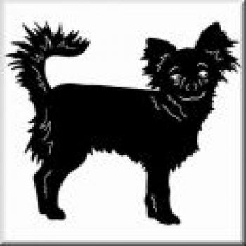 Aufkleber Chihuahua 2 - gespiegelt - 20cm