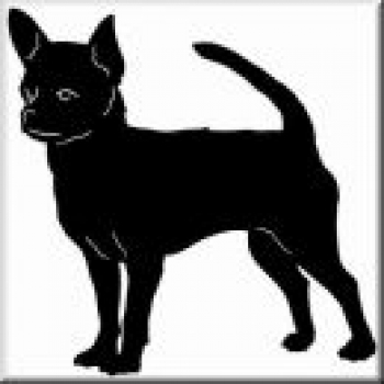 Aufkleber Chihuahua 4 - gespiegelt - 20cm