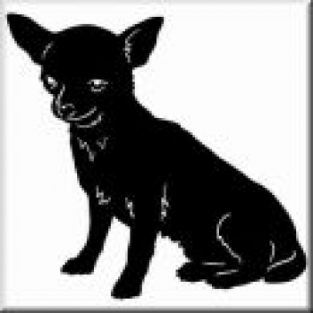 Aufkleber Chihuahua 7 - gespiegelt - 20cm