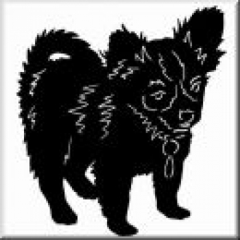 Aufkleber Chihuahua 9 - gespiegelt - 20cm