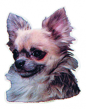 Trixie Aufkleber Chihuahua