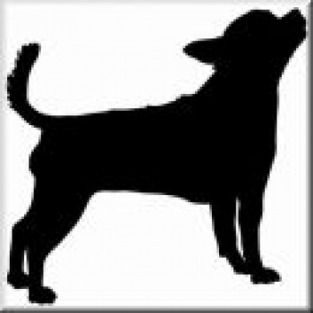 Aufkleber Chihuahua 5 - 20cm