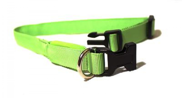 LED Halsband Gr. L, in 3 verschiedenen Farben