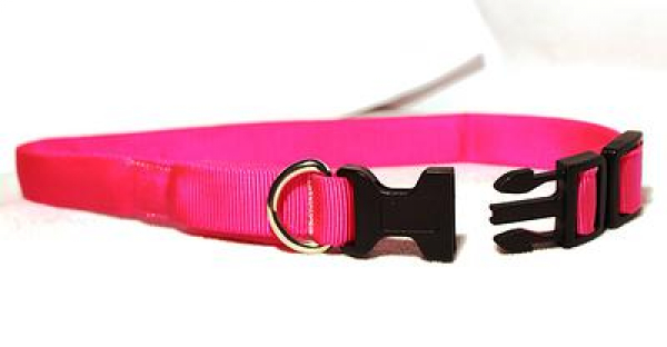 LED Halsband Gr. L, in 3 verschiedenen Farben