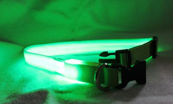 LED Halsband Gr. L, in 3 verschiedenen Farben
