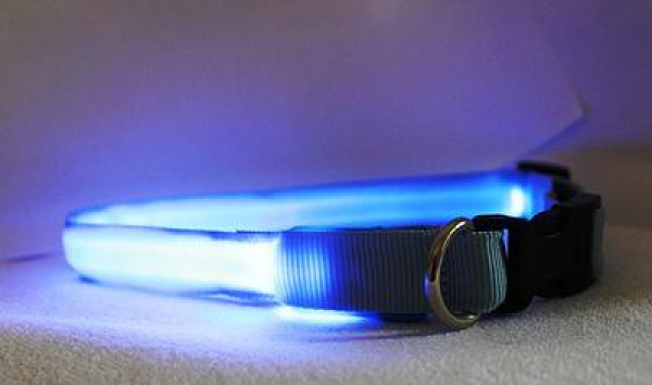 LED Halsband Gr. L, in 3 verschiedenen Farben