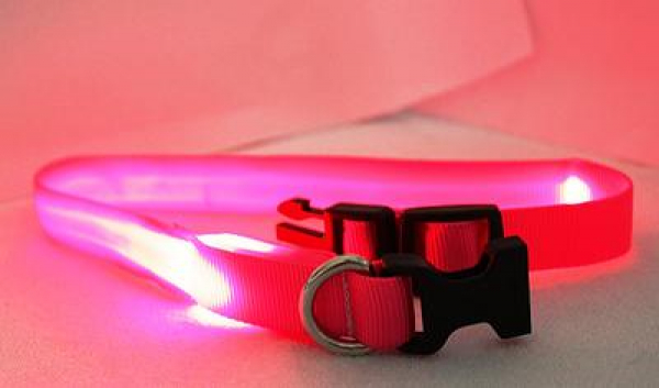LED Halsband Gr. L, in 3 verschiedenen Farben