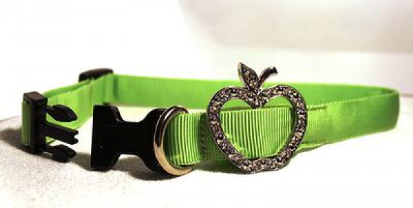 LED Halsband Elegance Gr. L, in 3 verschiedenen Farben