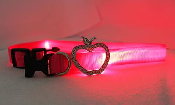 LED Halsband Elegance Gr. L, in 3 verschiedenen Farben