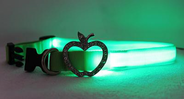 LED Halsband Elegance Gr. L, in 3 verschiedenen Farben