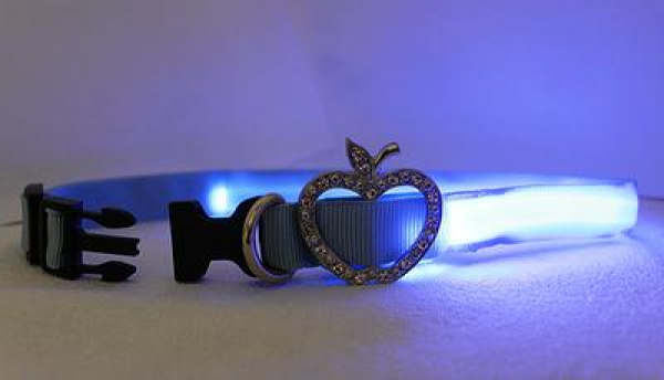 LED Halsband Elegance Gr. L, in 3 verschiedenen Farben