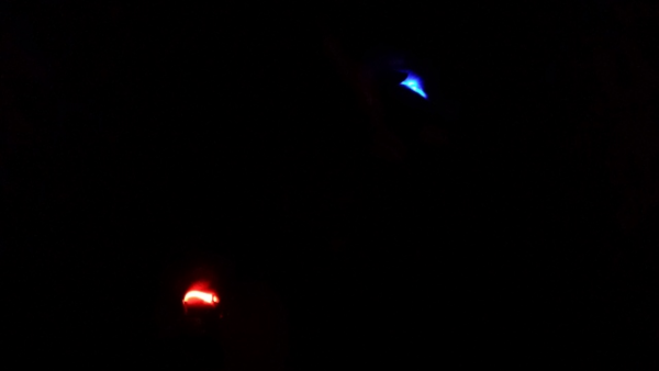 LED Halsband Gr. L, in 3 verschiedenen Farben